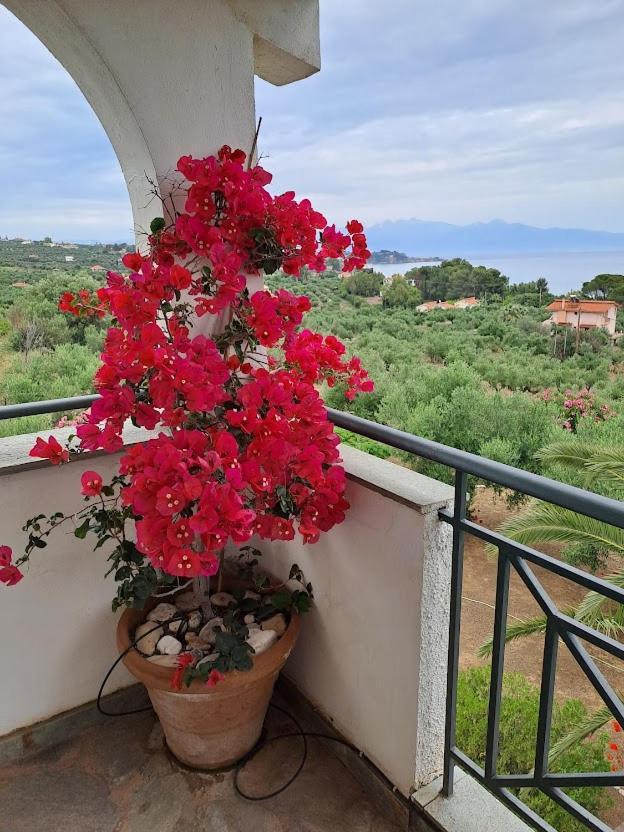 Villa Mariana Koróni Exteriér fotografie